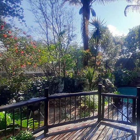 Pantera Lodge & Cheetah Cottage Johannesburg Exteriör bild