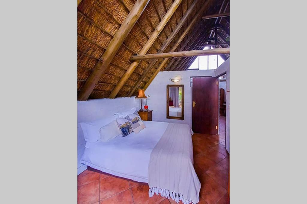 Pantera Lodge & Cheetah Cottage Johannesburg Exteriör bild