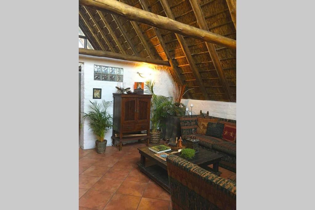 Pantera Lodge & Cheetah Cottage Johannesburg Exteriör bild