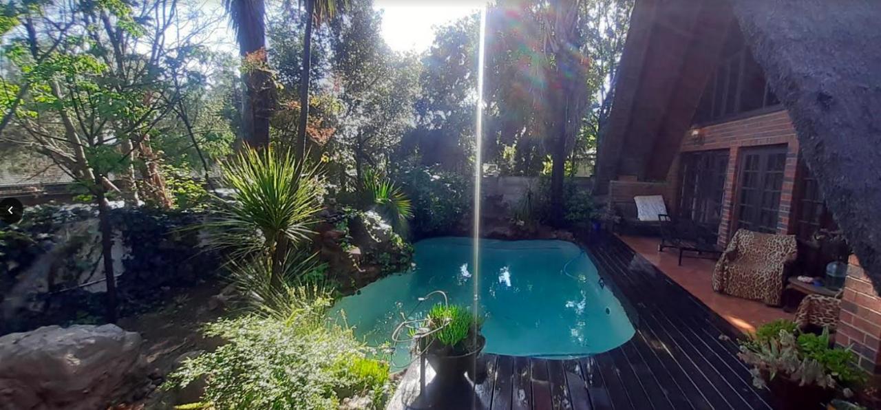Pantera Lodge & Cheetah Cottage Johannesburg Exteriör bild